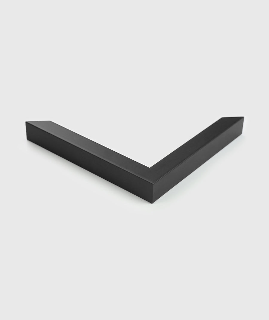 Black Frame Matte Poster